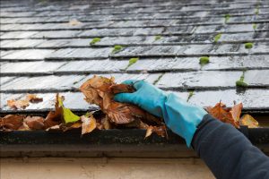 Another important point why gutters assassinate your roof systems is that they accumulate insects, pests 
